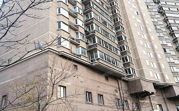 朝阳区 望京西园315号楼6层604号（绿荫芳邻）