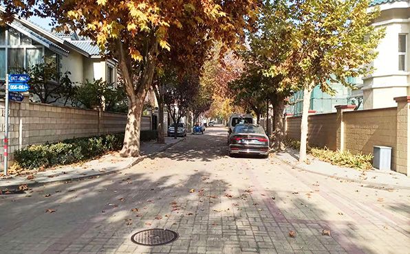 顺义区 金宝花园56号楼1-2层56号（金宝花园南区）别墅