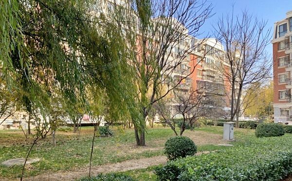 朝阳区 朝新嘉园东里二区4号楼1层1门101（朝阳新城二区）