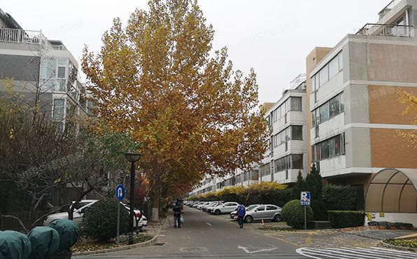 朝阳区   倚林佳园11号楼5-202室（倚林佳园）