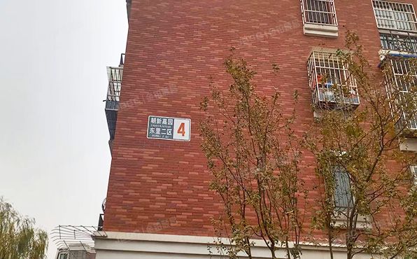 朝阳区 朝新嘉园东里二区4号楼1层1门101（朝阳新城二区）