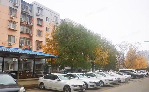 大兴区-亦庄镇 富源里8号楼3层5单元302（富源里）