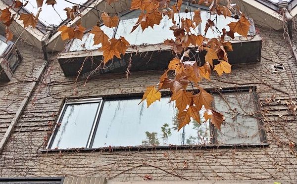 朝阳区 紫玉东路1号737幢-1至3层（紫玉山庄三期）别墅