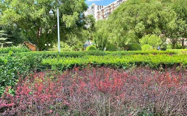 丰台区 南方庄2号院6号楼7层708号（世纪星家园）