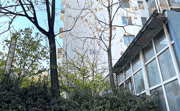 海淀区 文慧园路56号10层1013号（56号公寓）