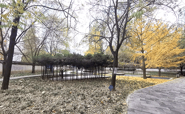 朝阳区 东三环北路戊2号A座10层1106号（国际港）