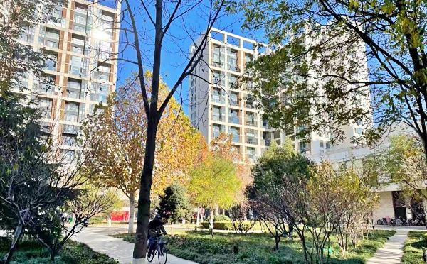 大兴区 欣荣北大街45号院4号楼14层1406（鸿坤理想城大满贯）