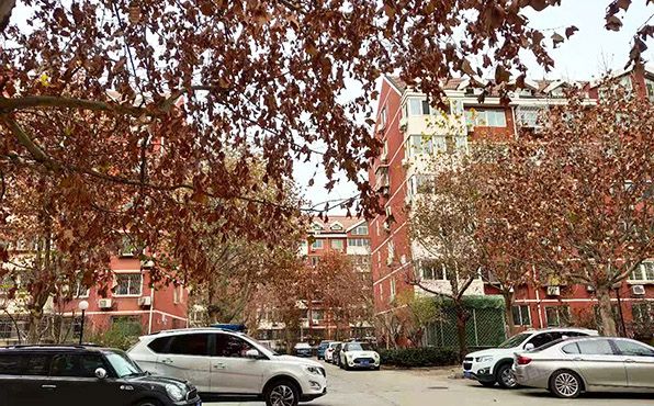 丰台区 程庄北里12号楼负1层4单元-101号（程庄北里）商业