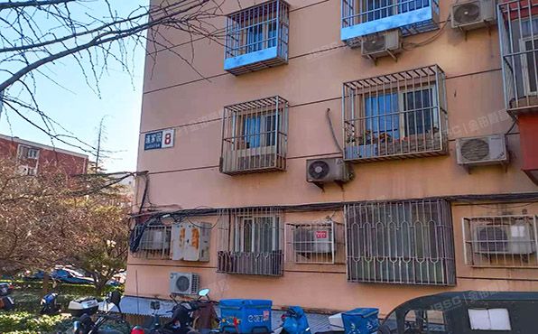 朝阳区  道家园8楼1002号（道家园）