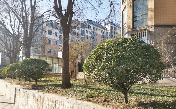 大兴区  黄村镇滨河北里6号楼3层7-301（那尔水晶城）