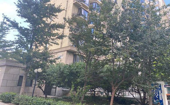 通州区 景盛南二街45号院3号楼5层1单元502（合生世界村）