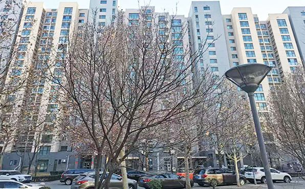 丰台区 马家堡东路108号院9号楼13层3单元1301（远洋自然）