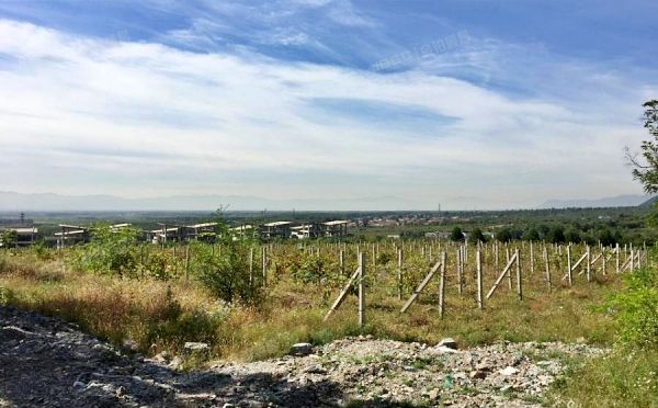 延庆区 张山营镇西羊坊村的土地使用权