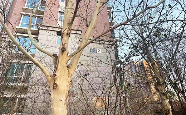 通州区 潞通大街198号院2号楼13层1单元1303（运河湾）