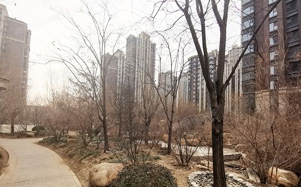 通州区 群芳一园125号楼-1至1层1单元101号（K2海棠湾）