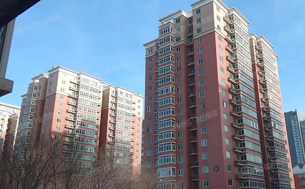 海淀区-中关村 新科祥园9号楼203号（新科祥园）