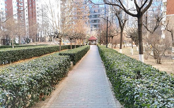 朝阳区 双营路11号院2号楼13层4单元1602（美立方）