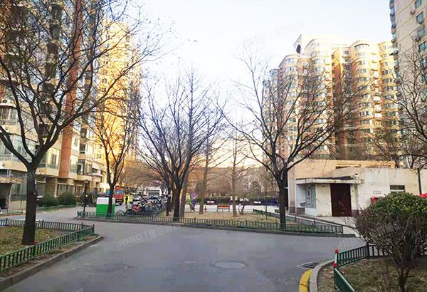 东城区 望陶园1号楼1003号（望陶园）