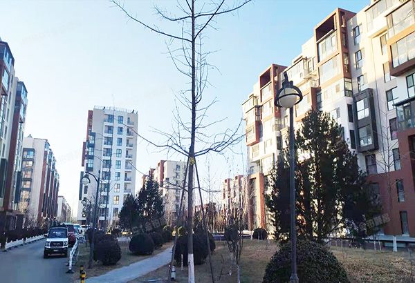 昌平区 双营西路66号12号楼7层1单元702号（北京风景）