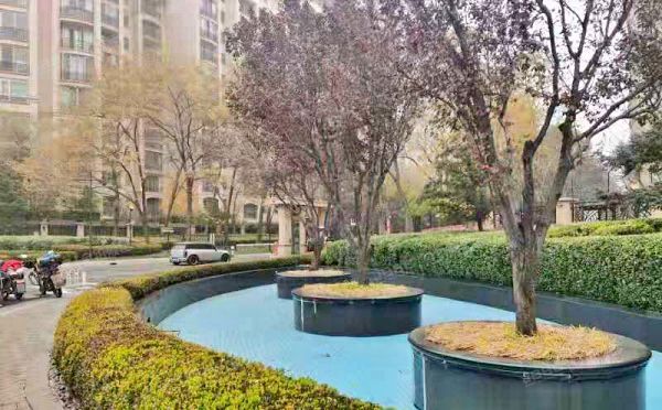 朝阳区 四季星河中街2号院2号楼7层1单元801号（星河湾畅园）