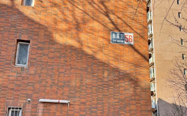 通州区 东果园56号楼3-341号（BOBO自由城）