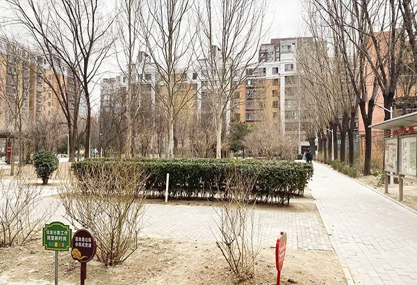 朝阳区 小营北路23号院6号楼3层305（紫薇天悦）