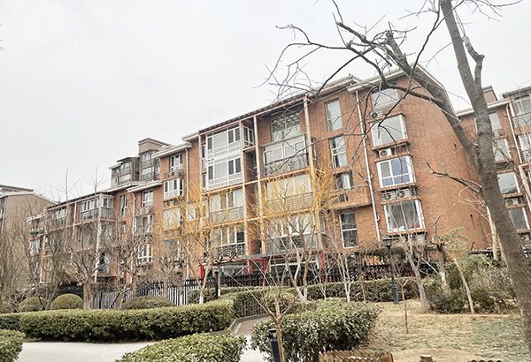 通州区 东果园56号楼3-341号（BOBO自由城）