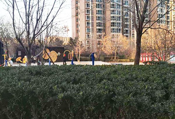 通州区 潞通大街197号院5号楼10至11层1003（运河湾北区）