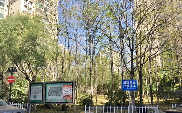 昌平区 东小口镇天通苑小区东苑55号楼5层1号（天通东苑一区）