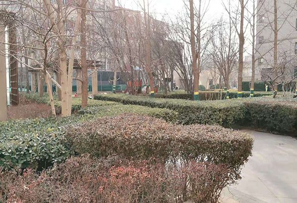 朝阳区 水碓子北里1号楼3层1单元307（万科东第）