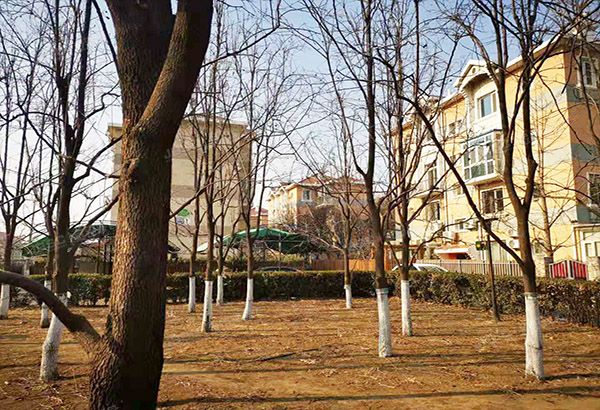 昌平区-回龙观 龙城花园一期F1公寓35号楼1层A号（龙城花园）