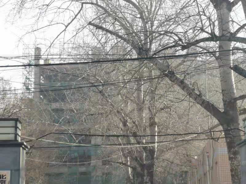 朝阳区 朝阳北路红领巾公园南侧文体用地划拨国有建设用地使用权及建建筑物