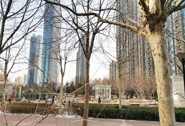 通州区 芙蓉园283号楼12层1单元1501的房地产及室内物品（京贸国际城）