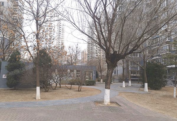 朝阳区 南湖西园121号楼1003号（银领国际）