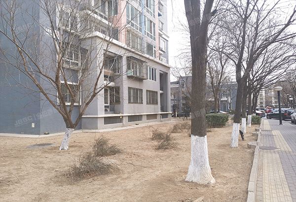 朝阳区 南湖西园121号楼1003号（银领国际）