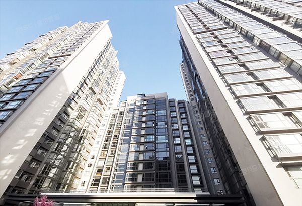 朝阳区 农展馆南路9号院2号楼12层1503号（博雅园）