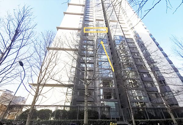 朝阳区 农展馆南路9号院2号楼12层1503号（博雅园）