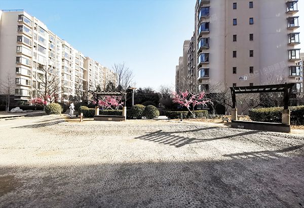 朝阳区 南十里居48号院3号楼11层1-1202室（燕莎后）