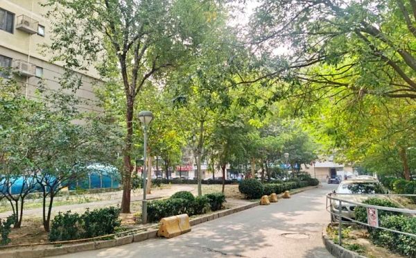 丰台区 丰桥路8号院14号楼5层3单元503（三环新城）按经适房管理