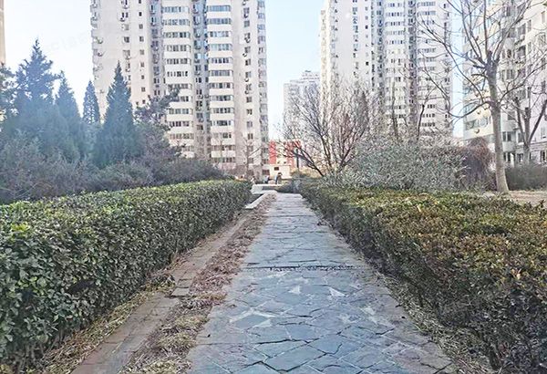 海淀区 文慧园北路9号今典花园5号楼18层1801（今典花园）