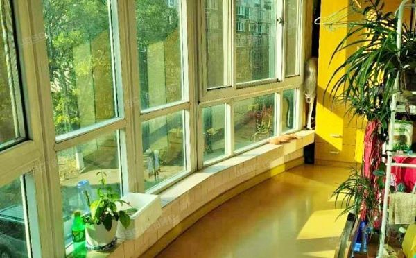 通州区 五里店西路6号7号楼3层732（新华联锦园）