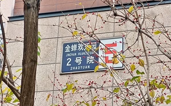 朝阳区 金蝉欢乐园2号院5号楼11层2单元1102（华侨城）