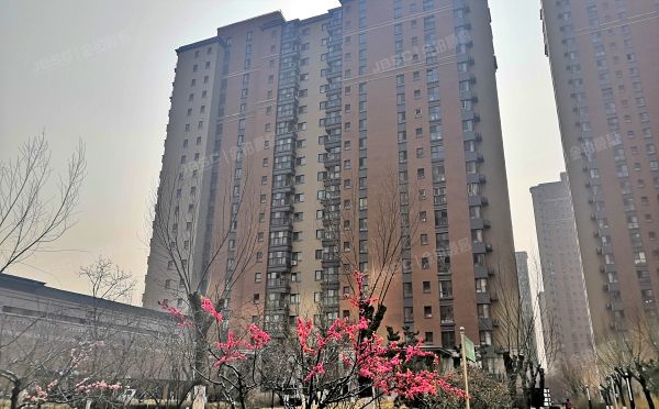 大兴区 兴华大街（二段）19号院6号楼8层2单元804（保利茉莉公馆）