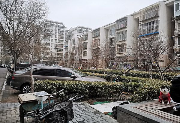 东城区 竹杆胡同13号楼6层1单元604（朝内小区）