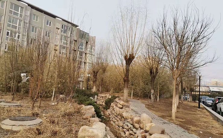 通州区 芙蓉园102号楼1层111（水恋晶城）