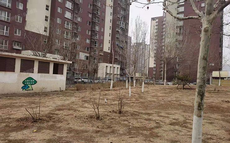 石景山区 金顶北路20号院12栋21层2单元2101号（柳青园）限价商品房