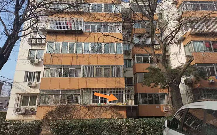 朝阳区 定福庄北里19号楼1层5单元101（定福庄北里1号院）