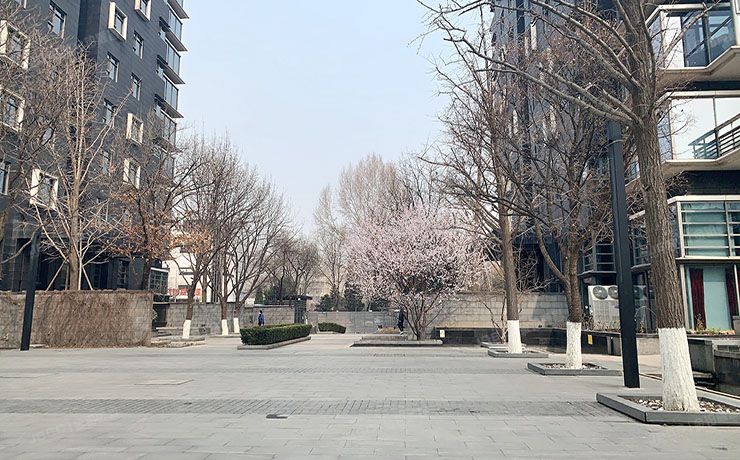 东城区 东直门内大街9号院3号楼1201（NAGA上院）