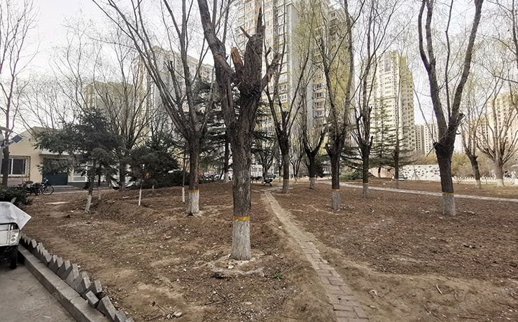 朝阳区 将府家园北里108号楼12层1204号（将府家园）