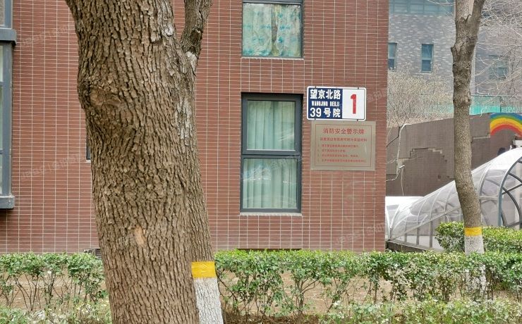 朝阳区 望京北路39号院1号楼16层3单元16B（澳洲康都）